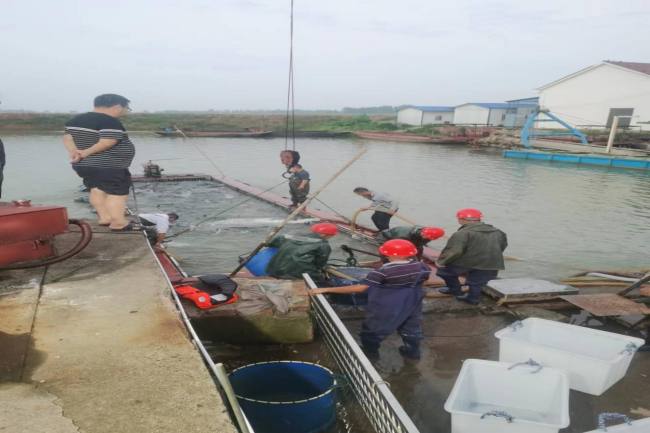 澧縣土地資源,澧縣公共基礎設施,澧縣工商業(yè)信息咨詢,澧縣澧州實業(yè)發(fā)展有限公司